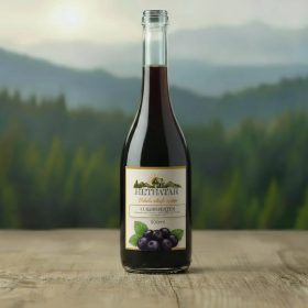Fekete ribizli szörp cukormentes 500ml